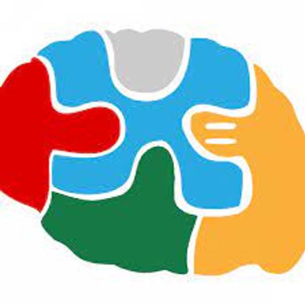 The Cerebral Hub