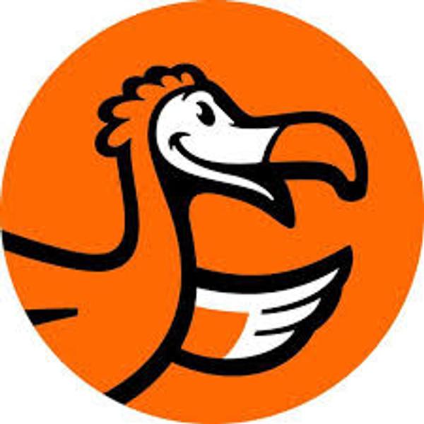 DODO PIZZA Lujerului SRL