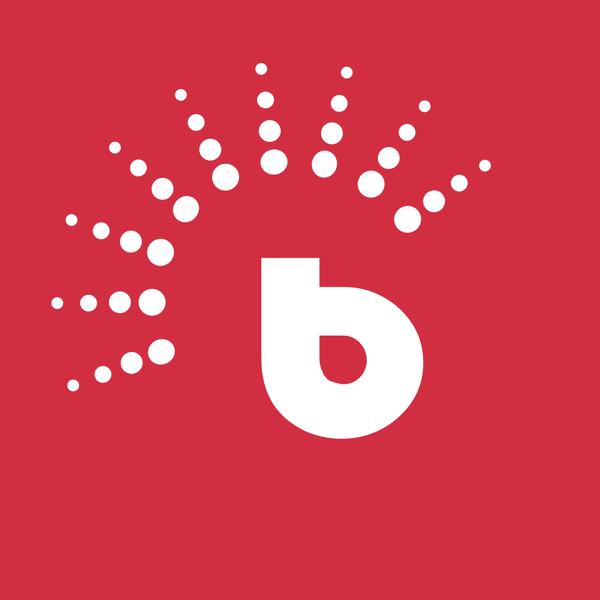 BrighterMonday Consulting's Logo