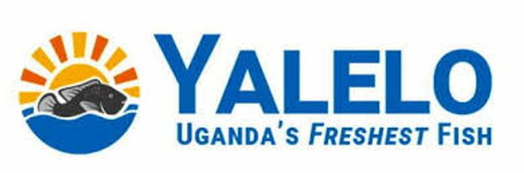 Yalelo Uganda banner
