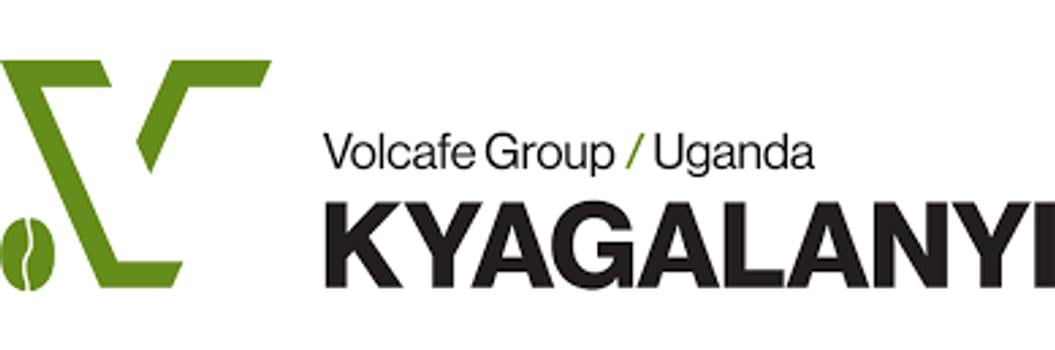 Banner for the company