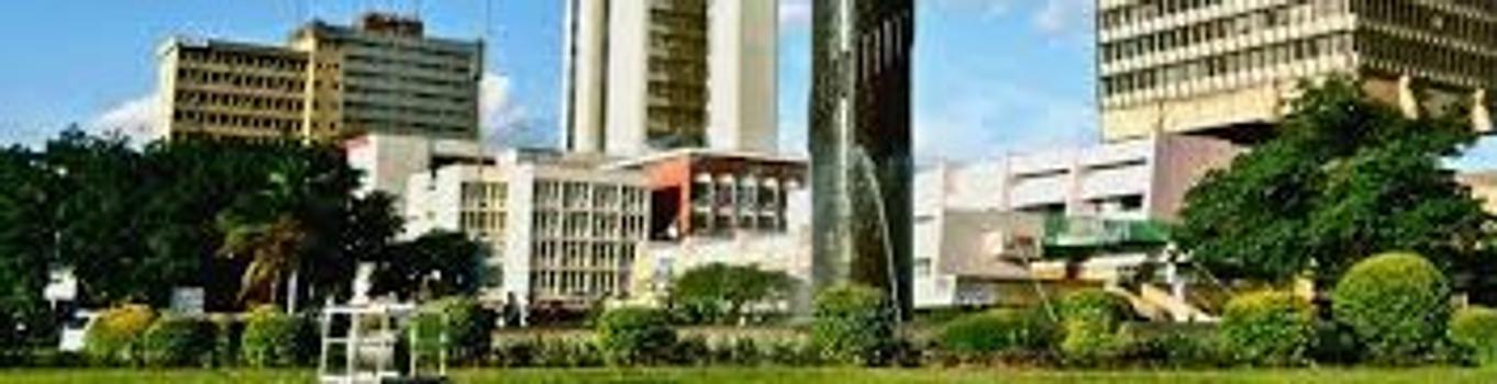 RSM Eastern Africa banner