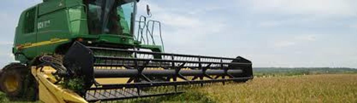 Dominion Agro and Business Enterprise banner
