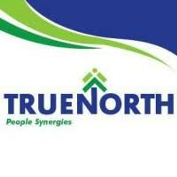 True North Consult Limited's Logo