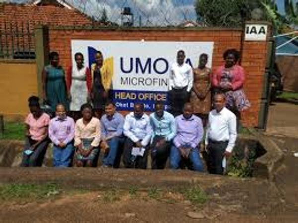 Company Image