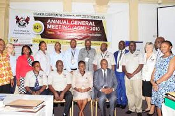 Company Image