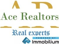 Ace Realtors Limited