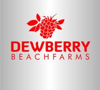 Dewberry & Co. logo