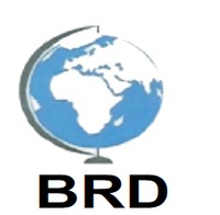 Bracamo Limited logo