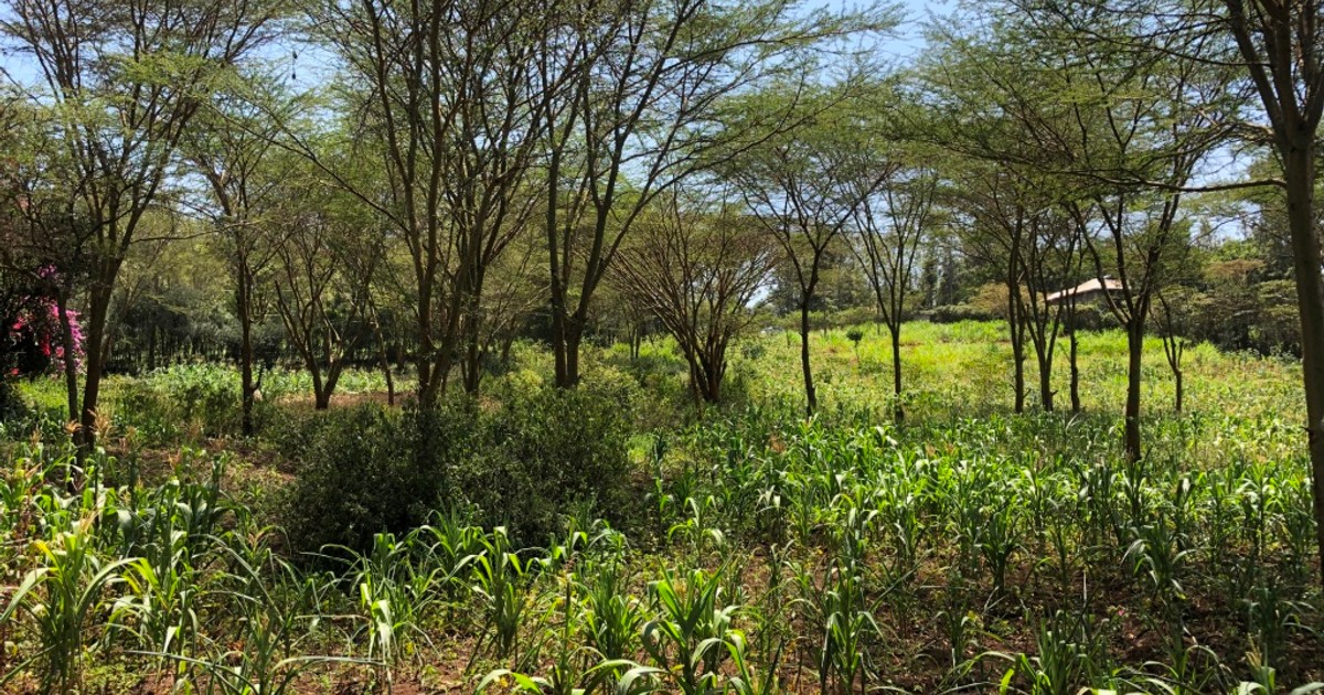 2.47 ac Land for Sale in Ngong