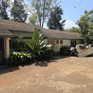 Nestled in the heart of the prestigious Loresho Crescent, this charming 3-bedroom unfurnished bungalow offers a perfect blend of elegance, comfort, and security. Set within a beautifully landscaped compound, the home is ideal for diplomats, expatriates, and families seeking a peaceful yet convenient lifestyle.

The residence features a welcoming entrance with a guest cloakroom, a spacious separate dining area, and a sunken lounge with a cozy fireplace that opens onto a balcony overlooking the lush private garden. Two private home offices, also enjoying serene garden views, provide an ideal work-from-home environment.

The well-appointed kitchen is complemented by a pantry and a separate laundry area for added convenience. The generously sized master bedroom offers ample space and comfort, while the home boasts high-quality finishes, beautiful wooden flooring throughout, and a secure safe haven for enhanced peace of mind.

Additional features include:

3 spacious bedrooms
Guest cloakroom
Separate dining room
Sunken lounge with fireplace
Balcony overlooking the garden
Two private offices with garden views
Modern kitchen with pantry
Separate laundry area
Expansive master bedroom
Excellent finishes and wooden floors
Safe haven
Lockable garage
Detached 2-bedroom staff quarters

The property sits on a well-maintained compound with ample parking, mature gardens, and an all-round electric perimeter fence. Security meets UN-approved standards, making it an excellent choice for diplomatic and international organizations.

Rent: Payable in US Dollars.