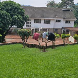 Private office,  Nested in a quiet area with great access to public transport, we have this 5 bedroom commercial bungalow with a garden in Lavington for rent. The house features two floor levels, spacious rooms and multiple bathrooms. There is mature garden all around the house. There is cabro paved parking space and a full back up generator. The security is excellent and the area is ambient. The space is ideal for a quiet office.

Features
2 floor levels
Spacious rooms
Kitchen
Dining area
Mature lush gardens
Parking spaces
Full back up generator
Great security
Price
Kes 500,000 + VAT