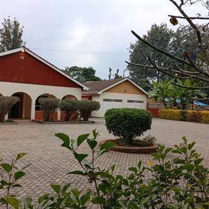 🏡 Newly Renovated 4-Bedroom Bungalow + 2 DSQs To Let | Karen 🌳✨

Looking for space, privacy, and tranquillity in one of Nairobi's most prestigious neighbourhoods? This elegant bungalow sits on ¾ of an acre with a beautifully manicured garden and mature trees, offering the perfect home for families seeking comfort and security.

✨ Key Features:
✅ 4 spacious bedrooms (3 ensuite)
✅ 2 Detached DSQs
✅ Private own compound (No commercial use)
✅ Stylish island kitchen
✅ Separate living and dining rooms
✅ Cozy fireplace
✅ Walk-in closet in the master bedroom
✅ Spacious rooms with enough space for king-size beds and study desks
✅ Beautiful landscaped garden with mature trees
✅ Pet-friendly with ample outdoor space (including room for chickens)
✅ CCTV surveillance & panic button
✅ 24/7 reliable water supply
✅ Power backup provision
✅ Highly secure and serene neighbourhood

💰 Rent: KSh 280,000 per month (Service charge included)

📍 Enjoy the peaceful Karen lifestyle while remaining close to top international schools, shopping malls, hospitals, restaurants, and major road networks.