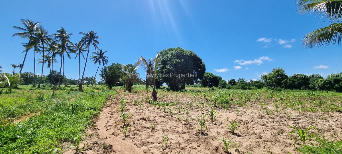 1 m² Land at Bomani - 13