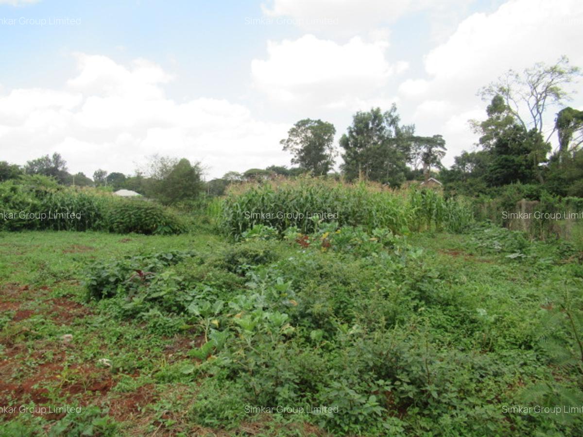 Residential Land at Mushroom Gardens - 5