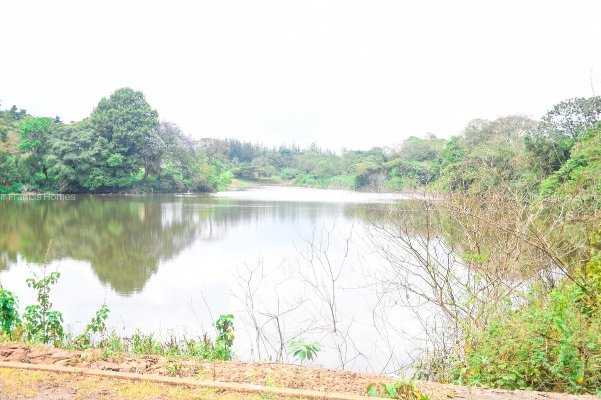 Residential Land in Kiambu Road - 11