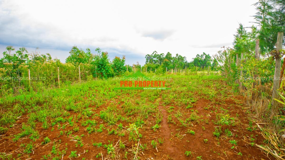 0.05 ha Residential Land at Thigio - 1