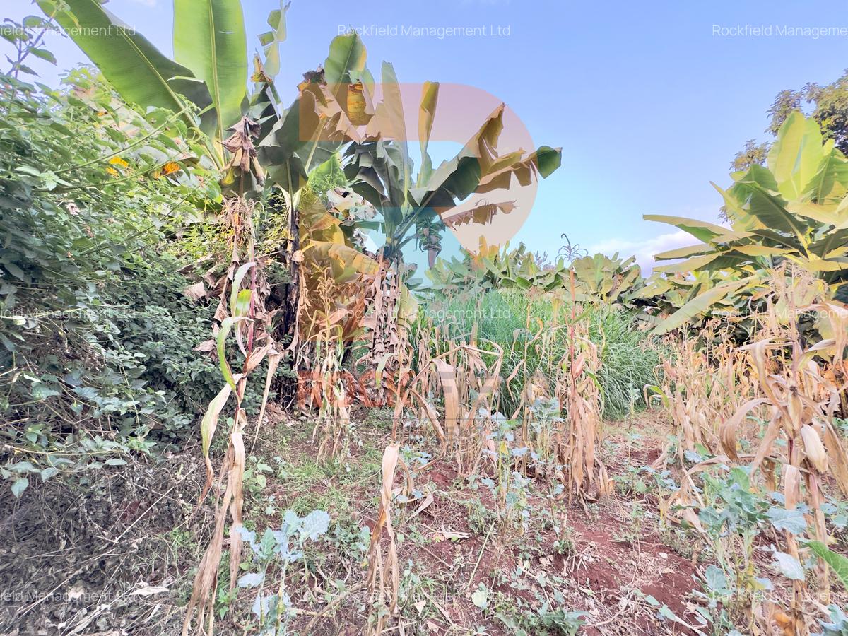 1.25 ac Land at White House Estate - 6