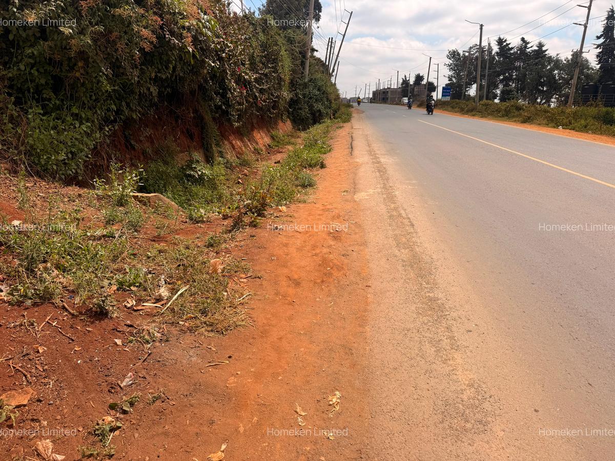 0.5 ac Land at Half Acre Commercial Land - 4