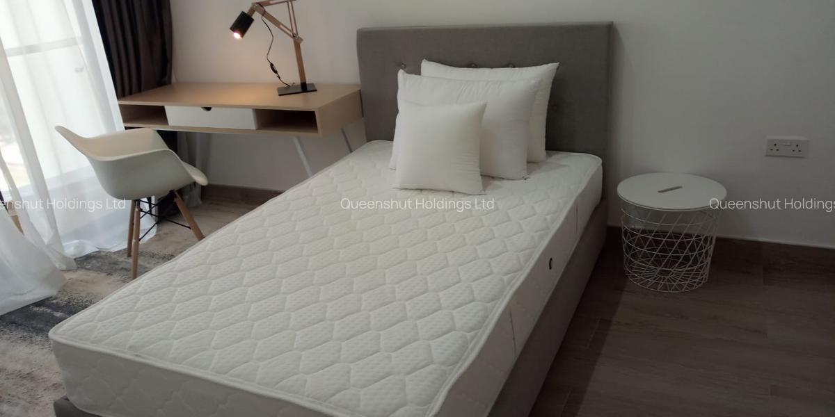 Furnished 3 Bed Apartment with En Suite in Westlands Area - 13