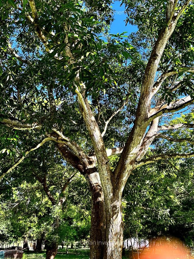 167.5 ac Land at Kuruwitu Beach - 9