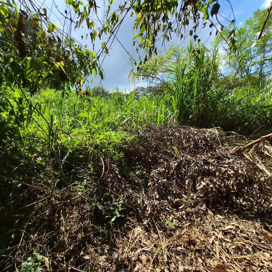 Commercial Land in Kitisuru - 1