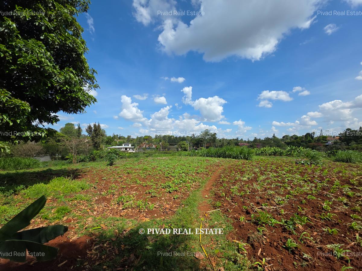 5.7 ac Land in Runda - 1
