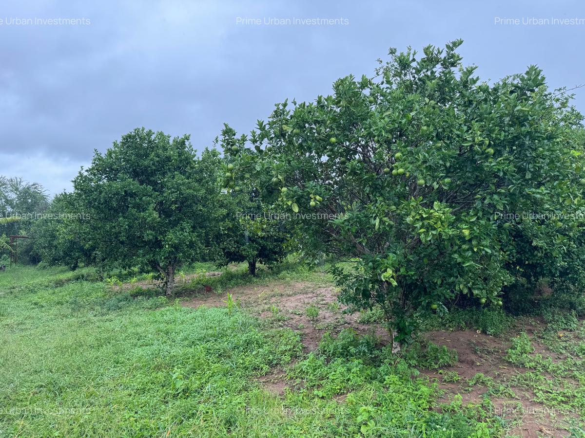 Land in Kilifi - 12