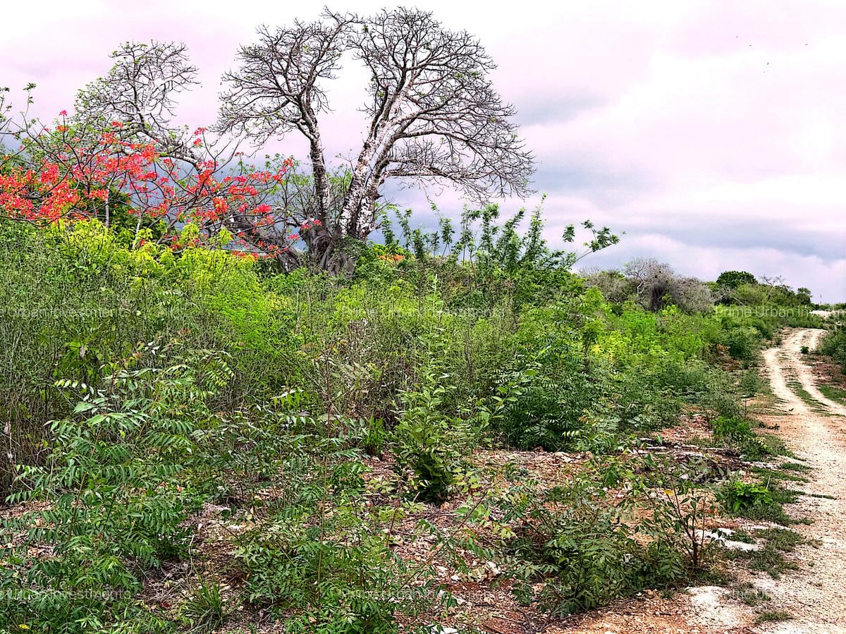 2,010 m² Residential Land at Second Row Kuruwitu Beach - 10