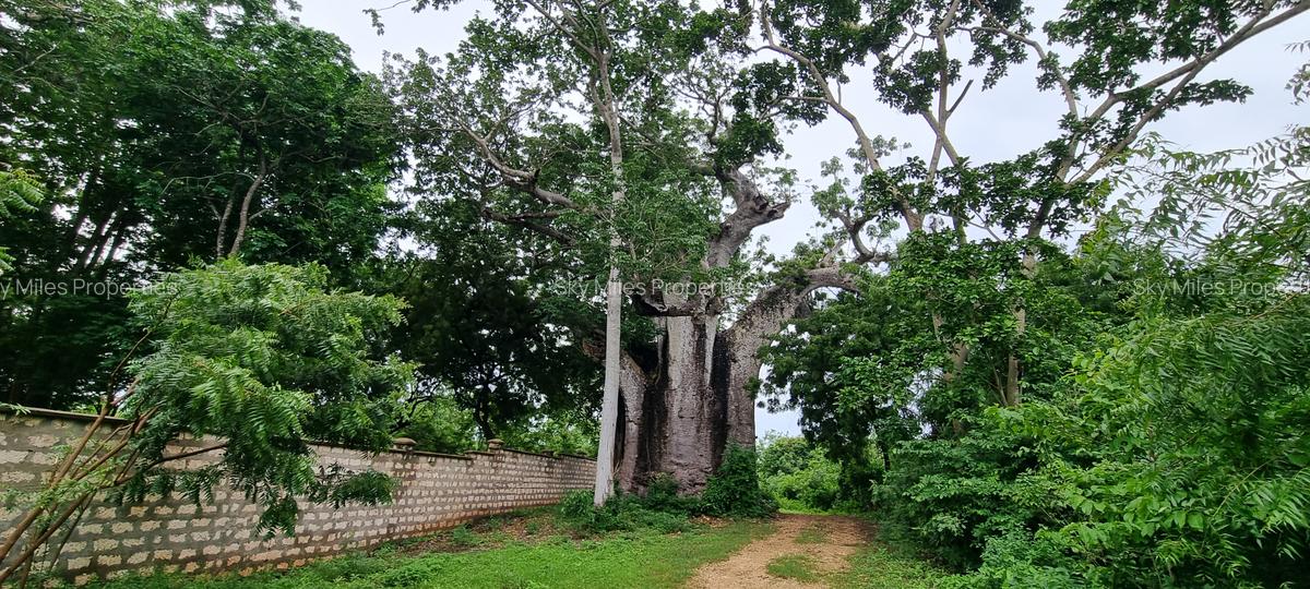 10 ac Land at Kuruwitu - 1