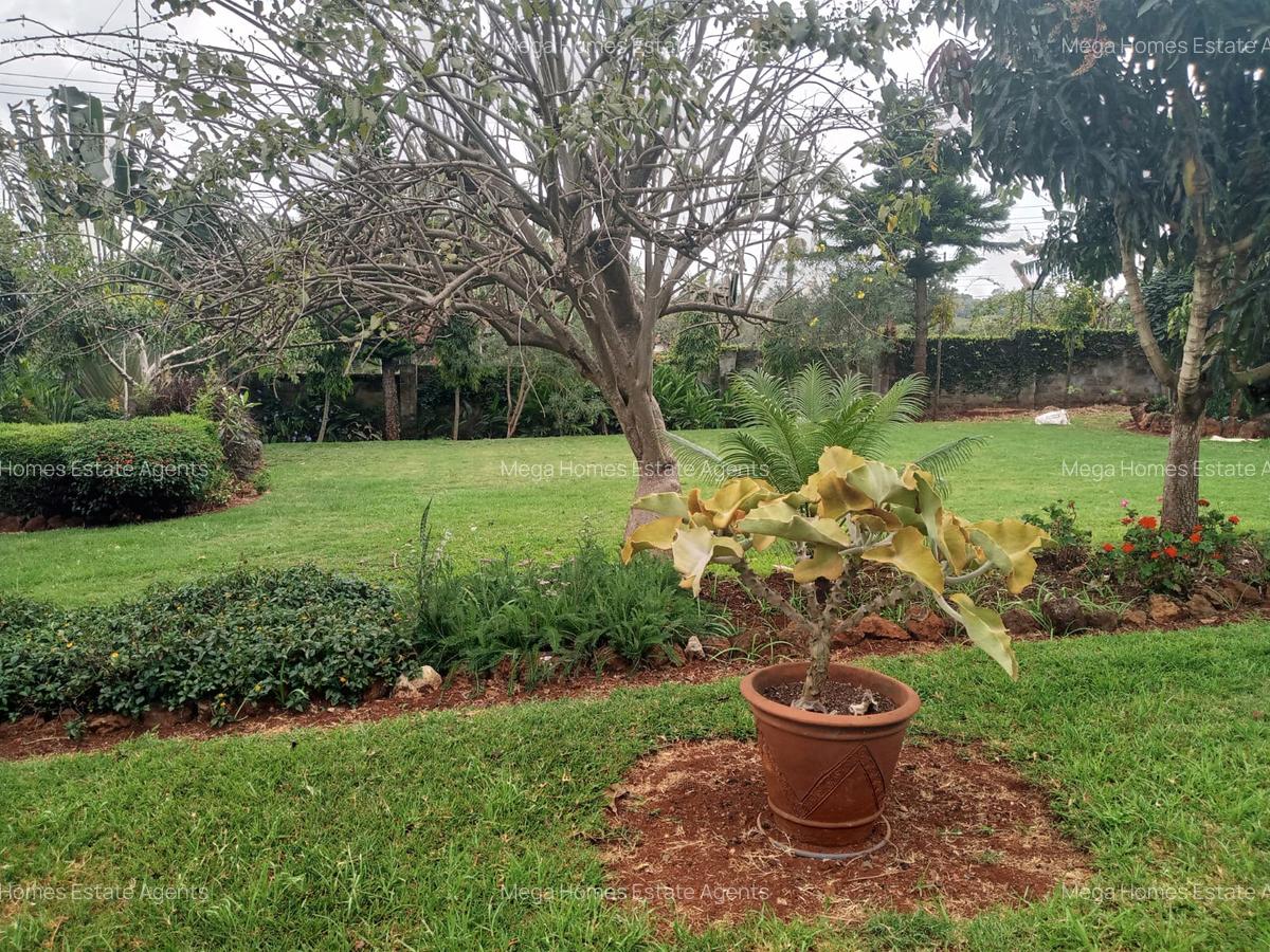 5 Bed House with En Suite in Nyari - 5