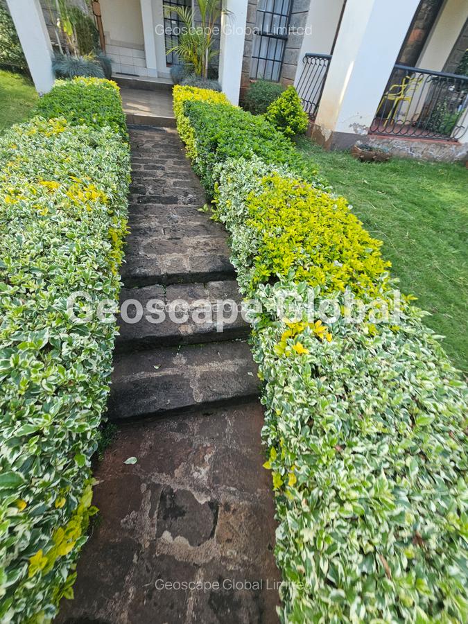 2 Bed House with En Suite in Karen - 15
