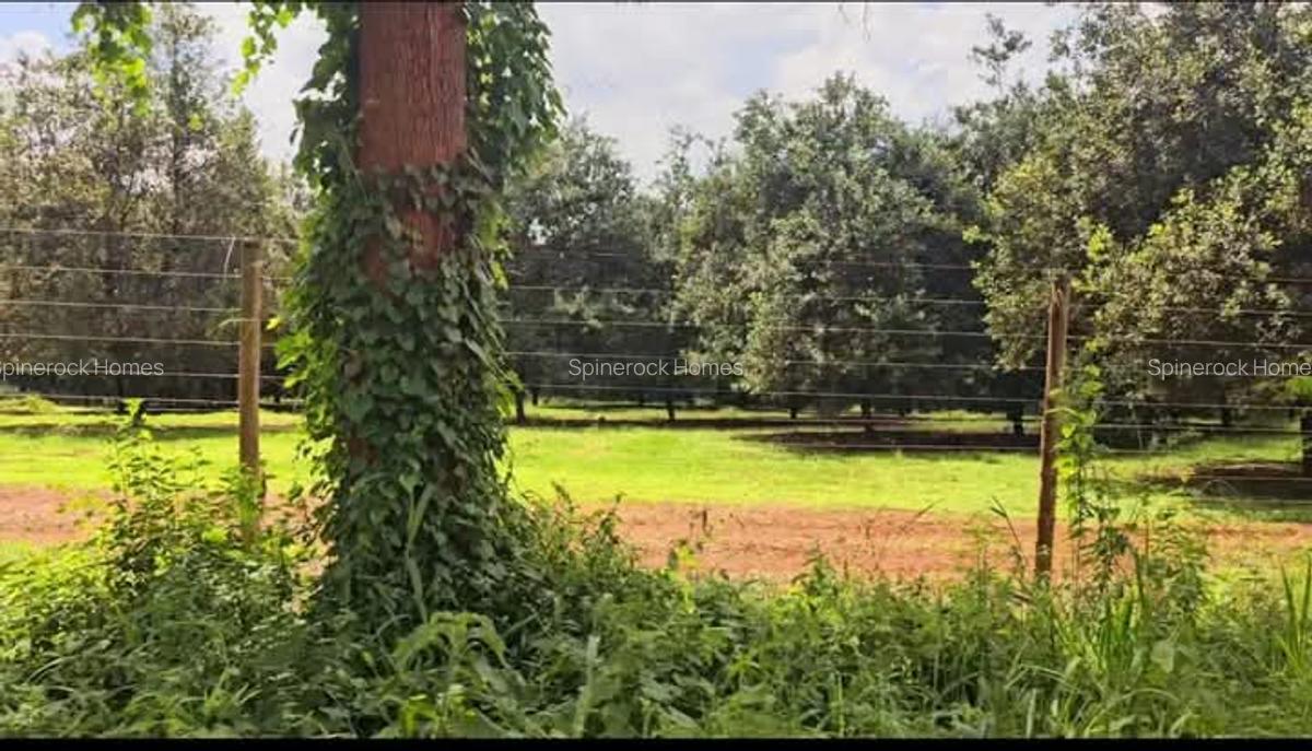 0.125 ac Residential Land at Juja Gatundu Road - 14
