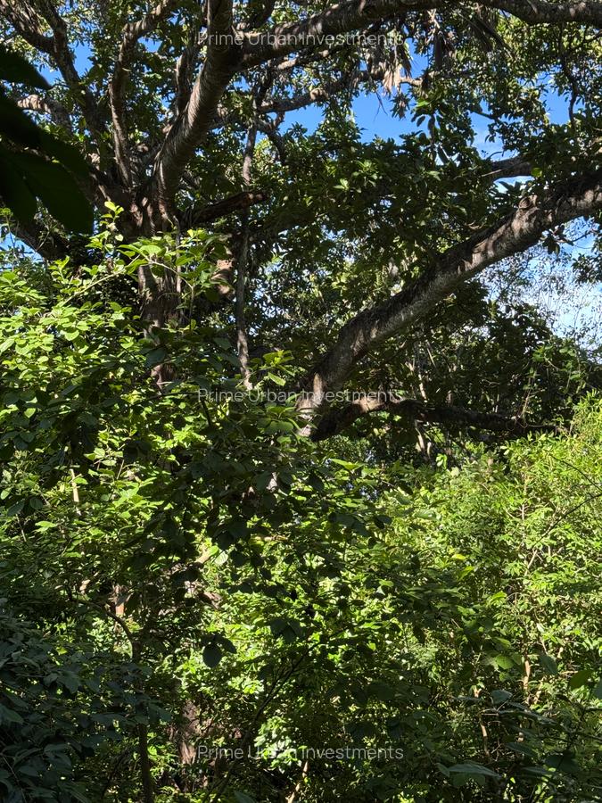 Land at Mtwpa Creek Aloo Drive - 4