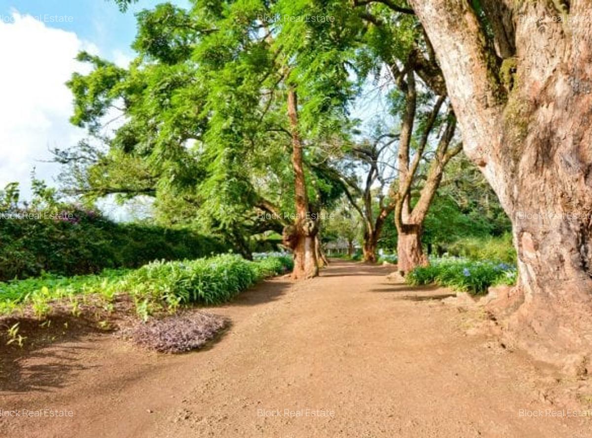 0.125 ac Residential Land in Ruiru - 8