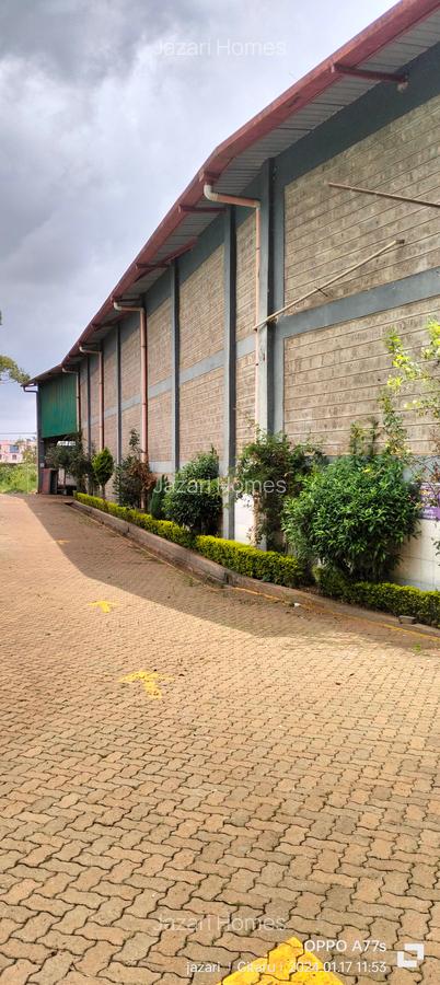 Warehouse with Backup Generator at Zambezi - 9