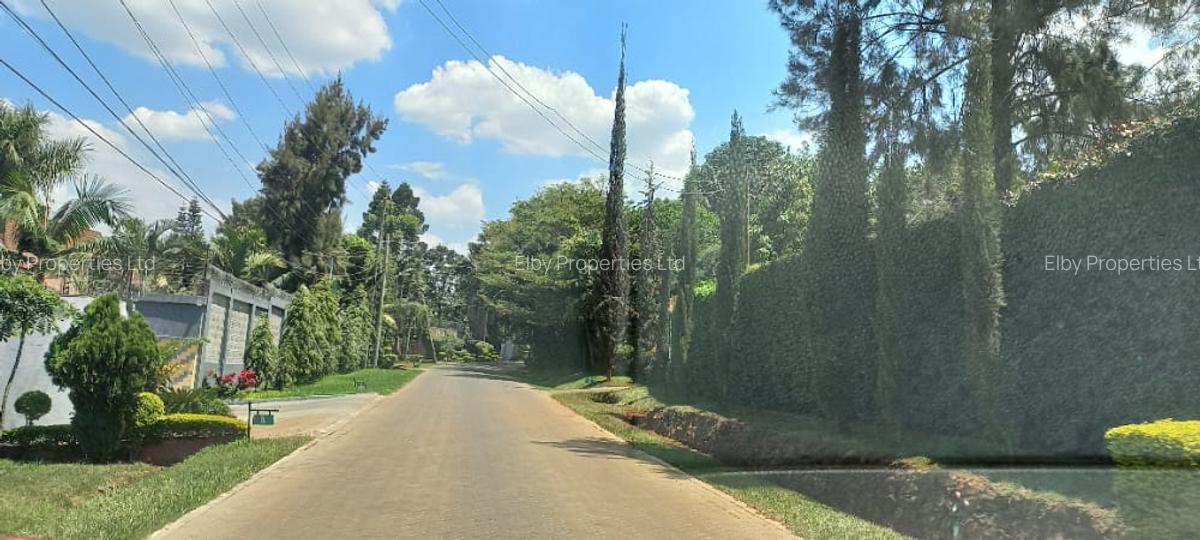 0.5 ac Residential Land at Muthithi - 15