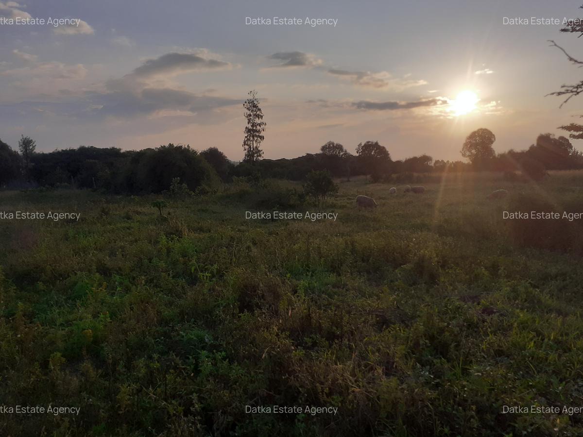 0.5 ac Residential Land in Nanyuki - 3