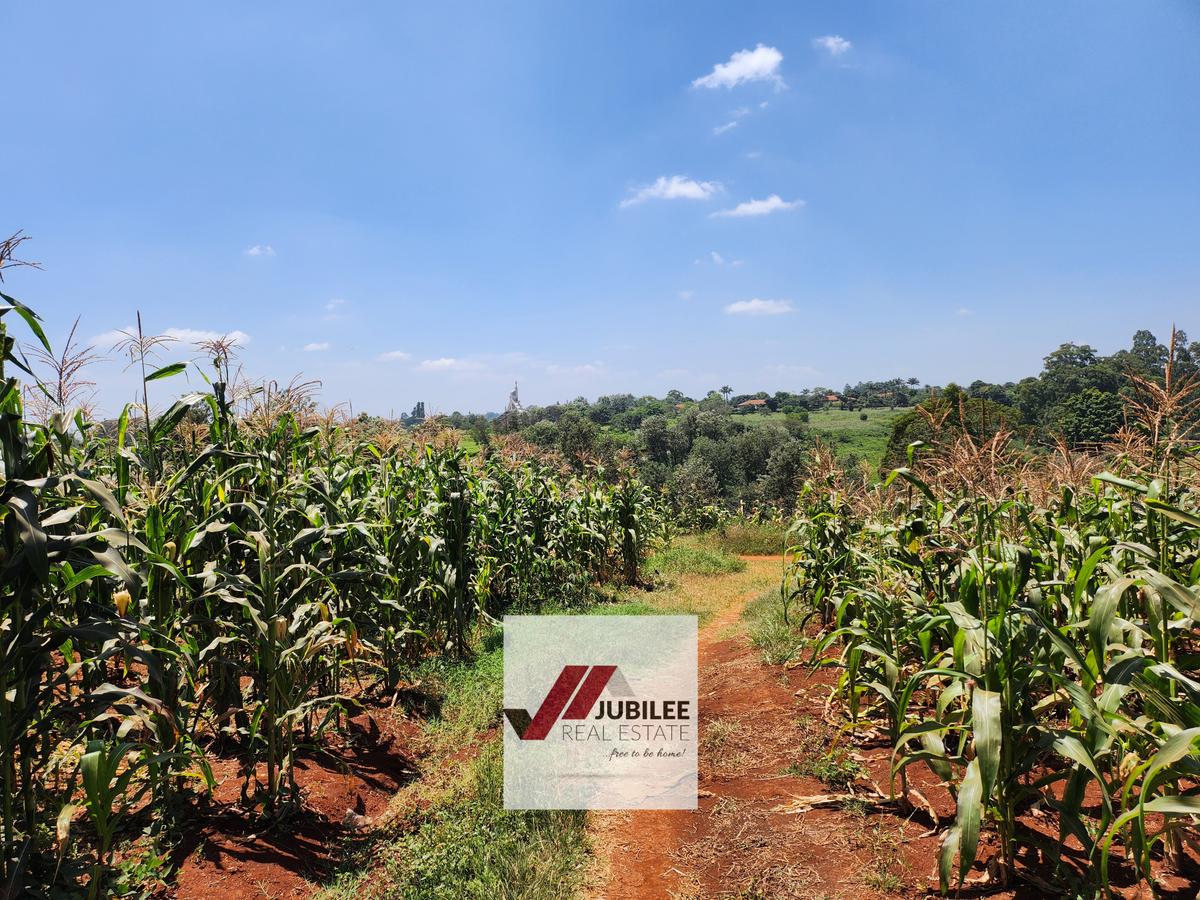 25 ac Land in Kitisuru - 7