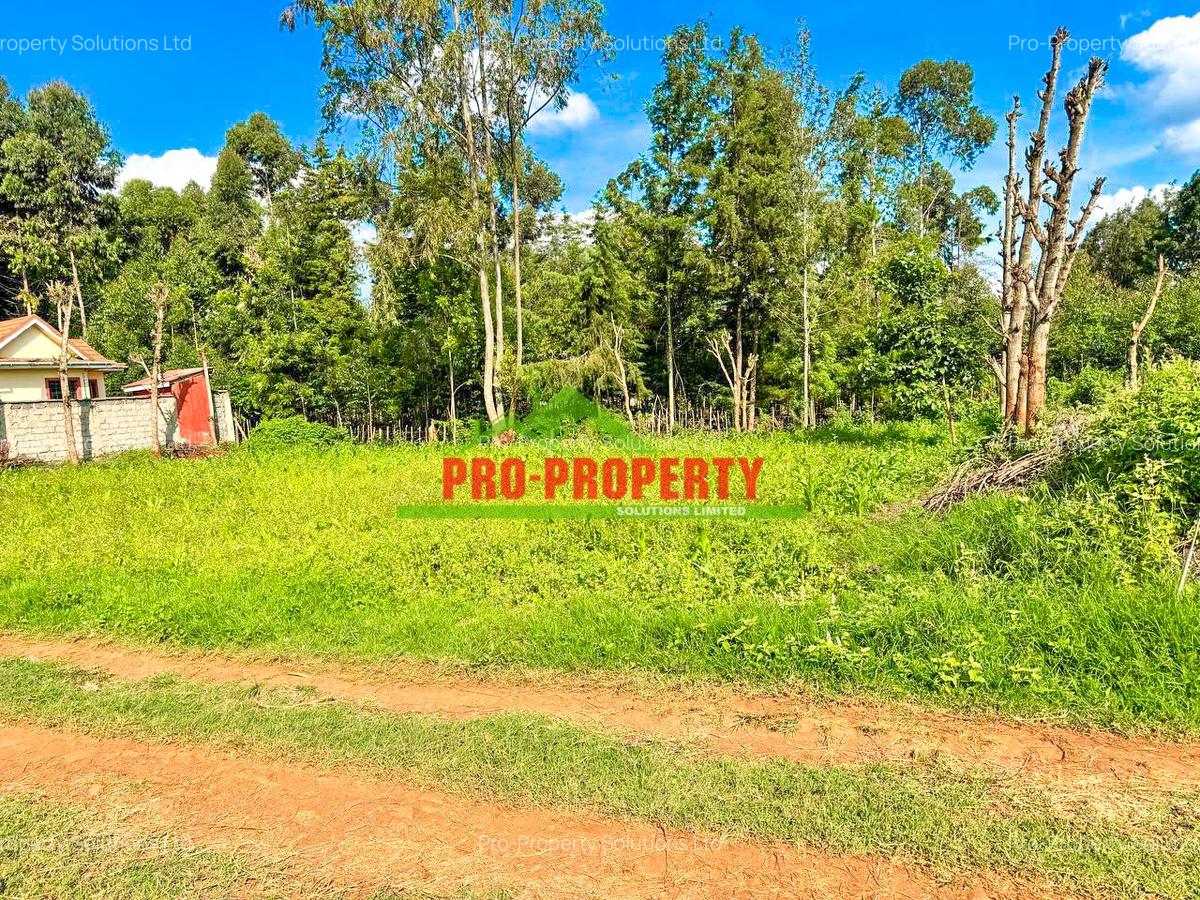 0.1 ha Residential Land at Ondiri - 5