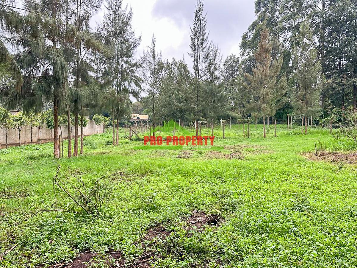 0.05 ha Commercial Land in Kikuyu Town - 9