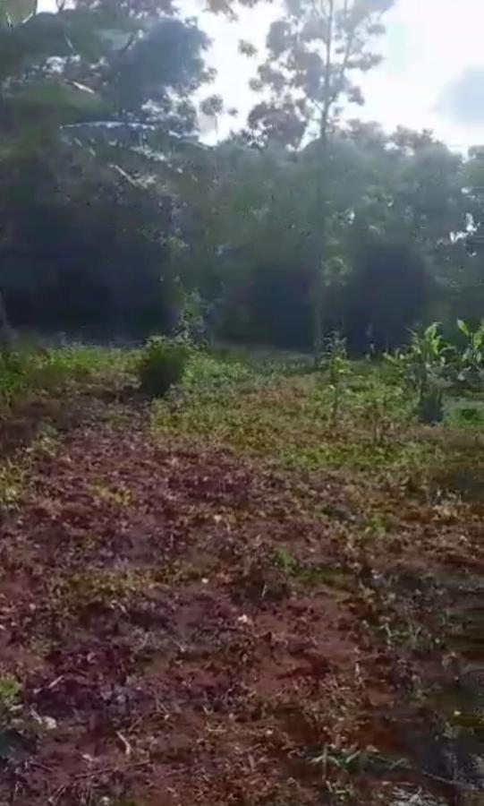 2.5 ac Land in Kitisuru - 8