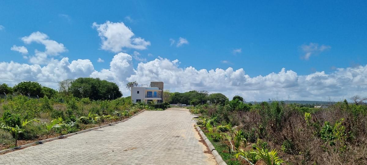 Land at Vipingo - 8