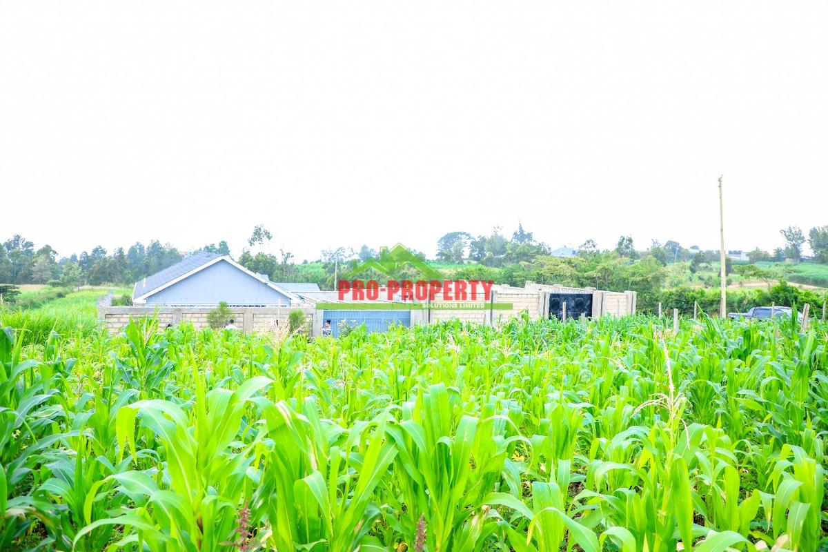 0.06 ha Residential Land at Kamangu - 8