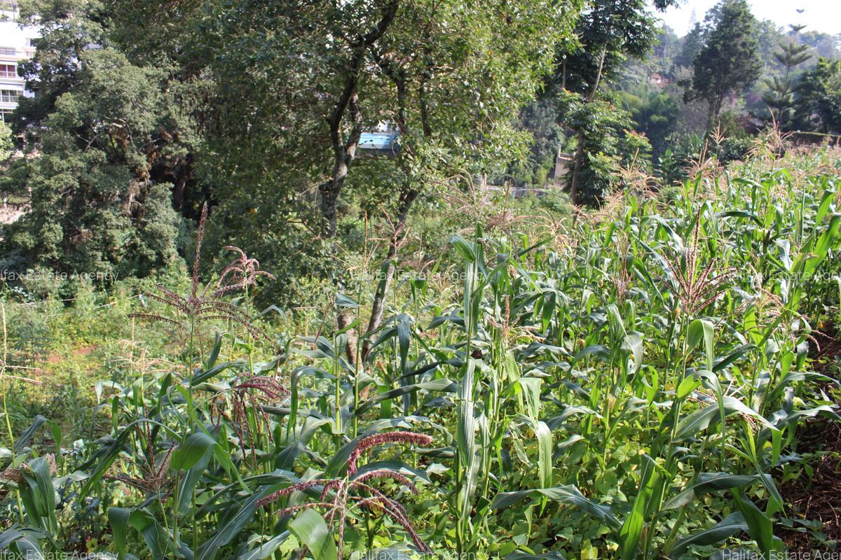 Land in Spring Valley - 2