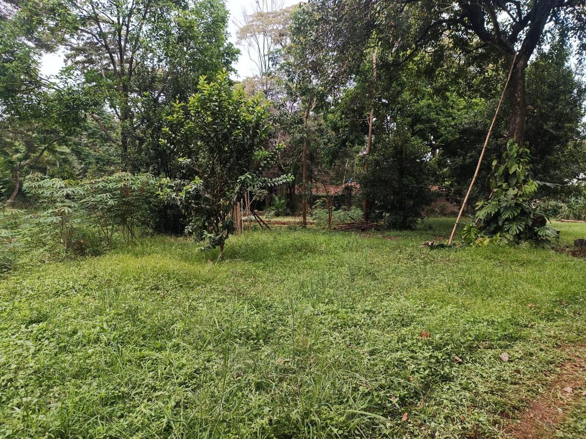 1 ac Land at Old Muthaiga Estate - 6