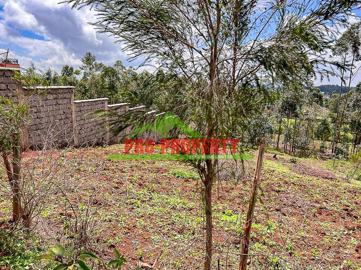 0.05 ha Residential Land in Kamangu - 10