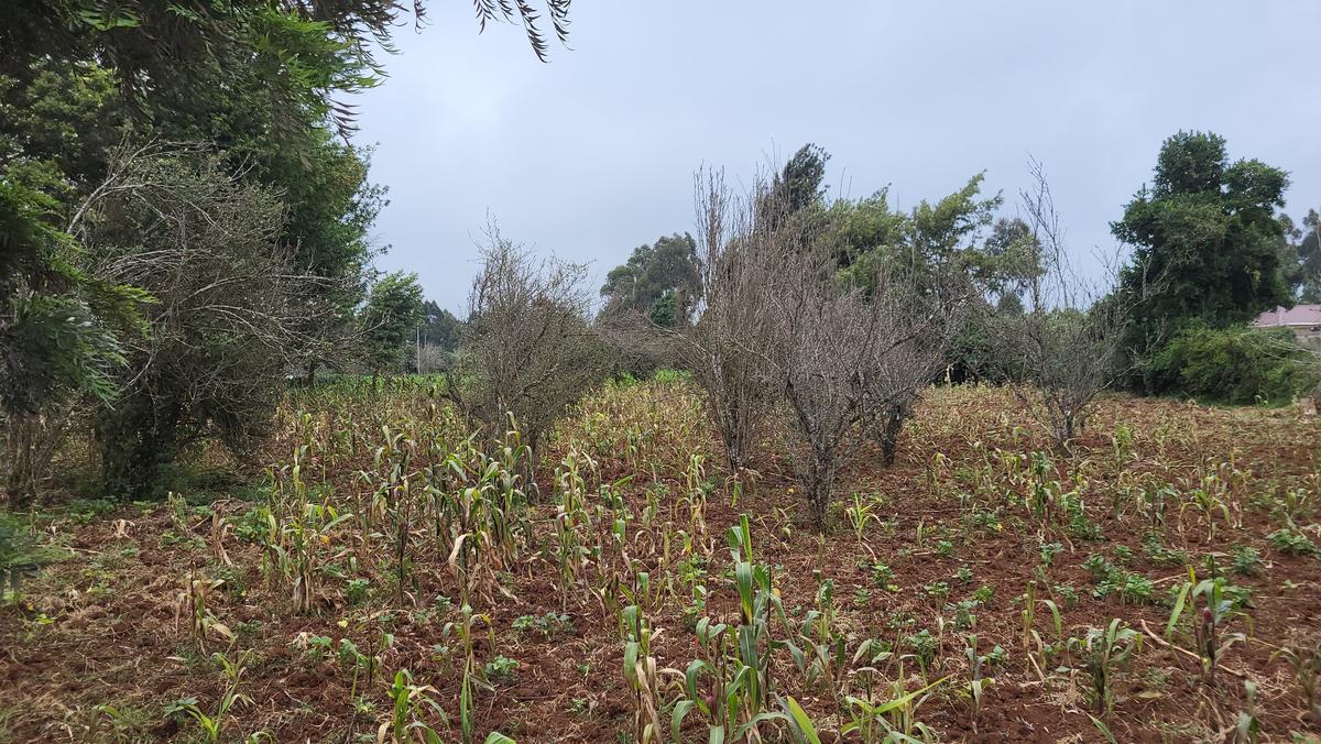 1.2 ac Land at Limuru - Kamandura - 3