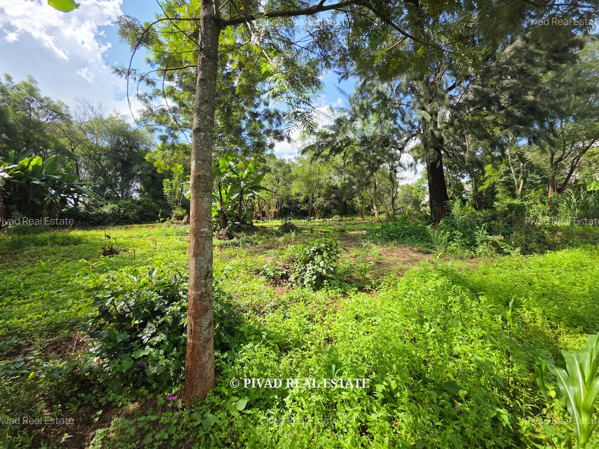 2.3 ac Land in Kitisuru - 5