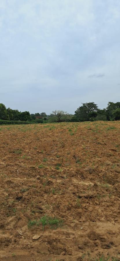 Residential Land in Kilifi - 3